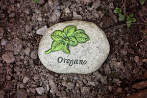 aceite de oregano
