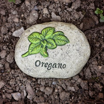 Aceite esencial de orégano