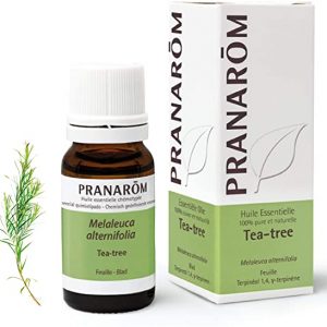 aceite esencial arbol de te