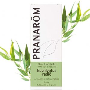 aceite esencial eucalipto