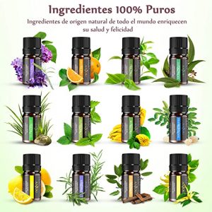 set aceites difusor