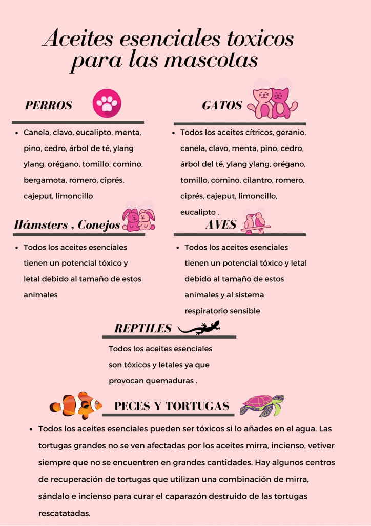 aceites esenciales toxicos mascotas